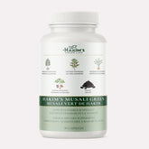 Hakim’s MUSALI Green – Herbal Dietary Supplement