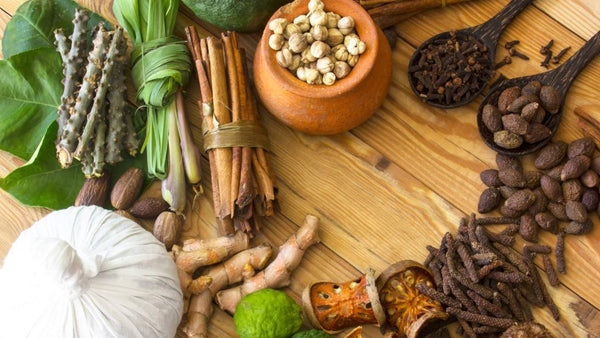 Top 10 Ayurvedic Medicine Stores in Milan, Italy